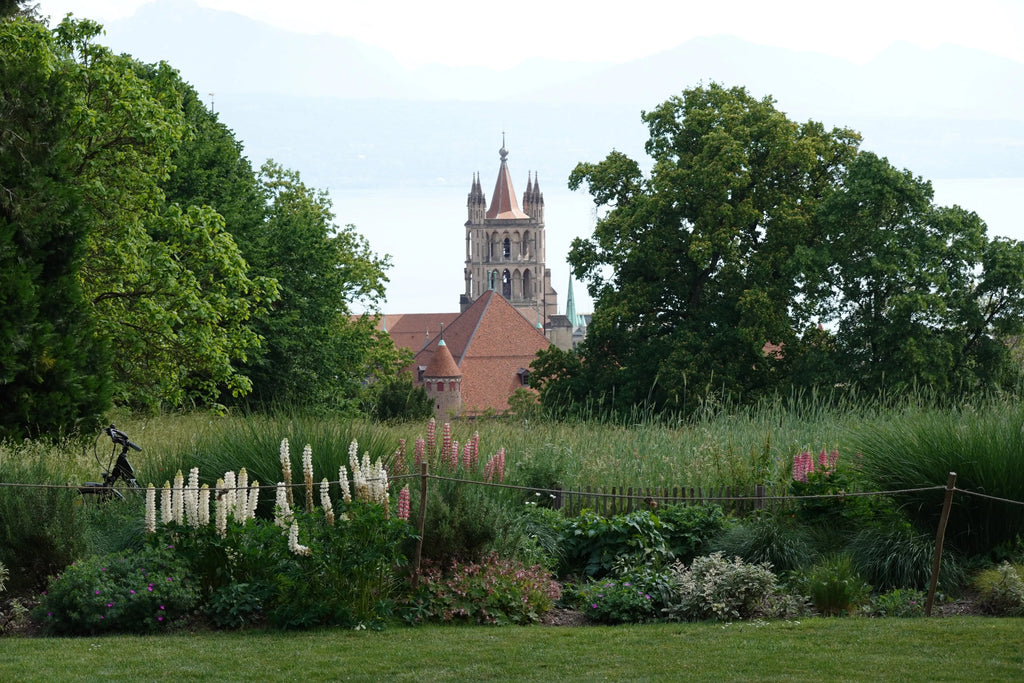 Les Brigands dans la ville