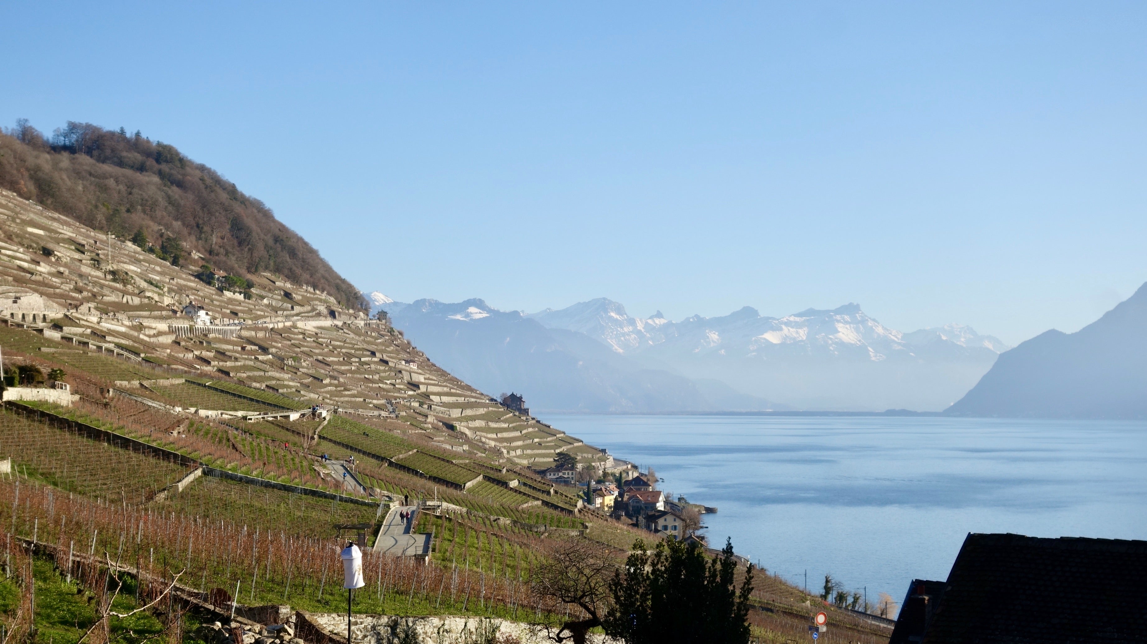 Révolte en Lavaux